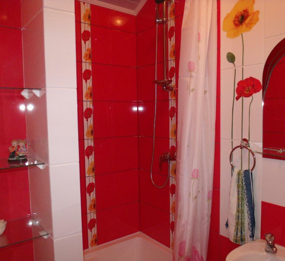 Квартира-Студия В Стиле Шале تريسكافيتس المظهر الخارجي الصورة